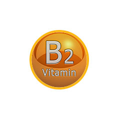 Витамин В2, Рибофлавин